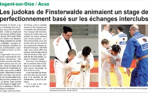 Article de presse 