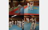 Cours de Jujitsu