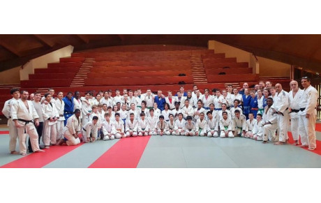 Stage Comité Oise Judo