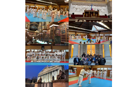 Stage Judo et Culture