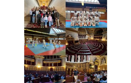 Stage Judo &amp; Citoyenneté 